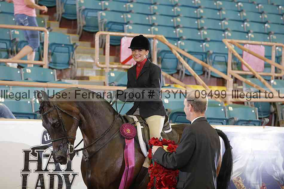 Proof 13yn_09499