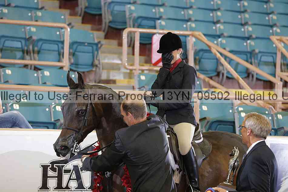 Proof 13yn_09502