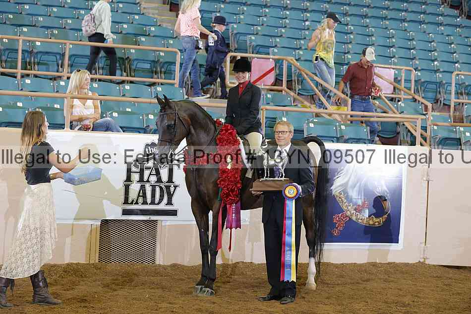 Proof 13yn_09507