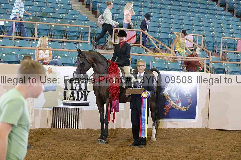 Proof 13yn_09508