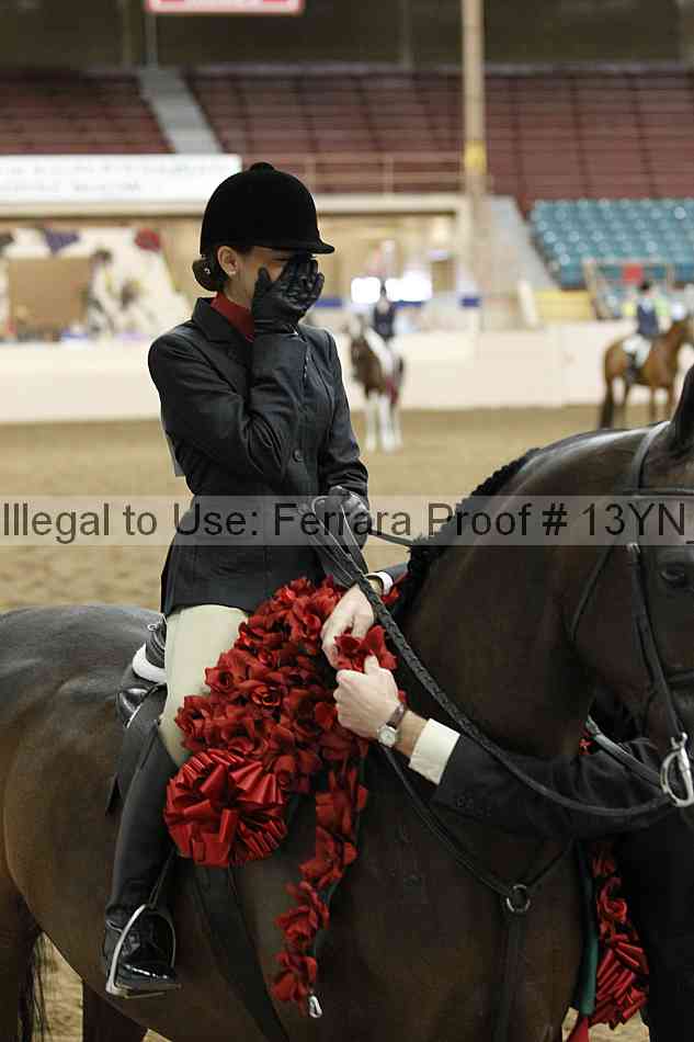 Proof 13yn_09509