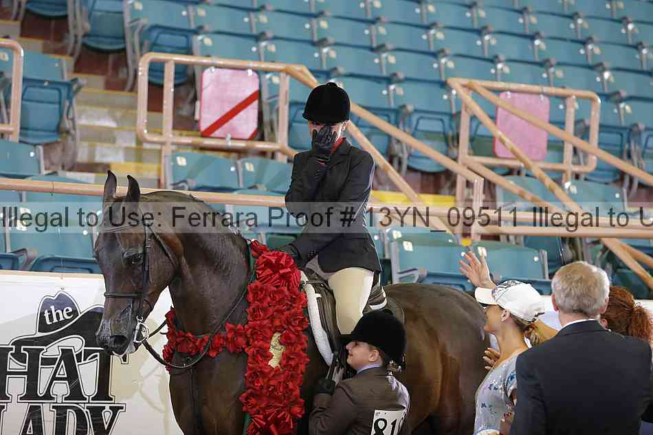 Proof 13yn_09511