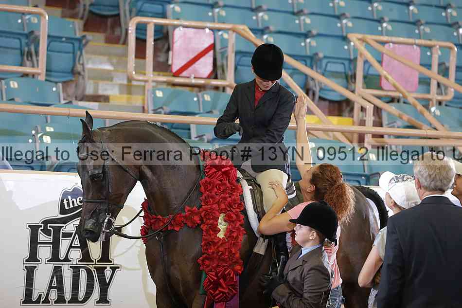 Proof 13yn_09512