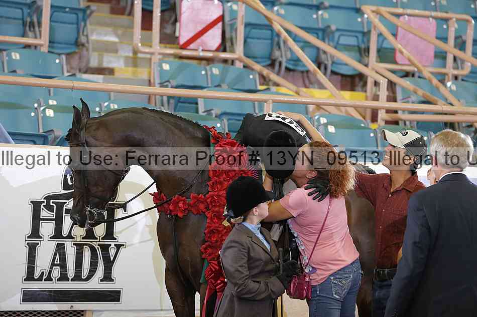 Proof 13yn_09513