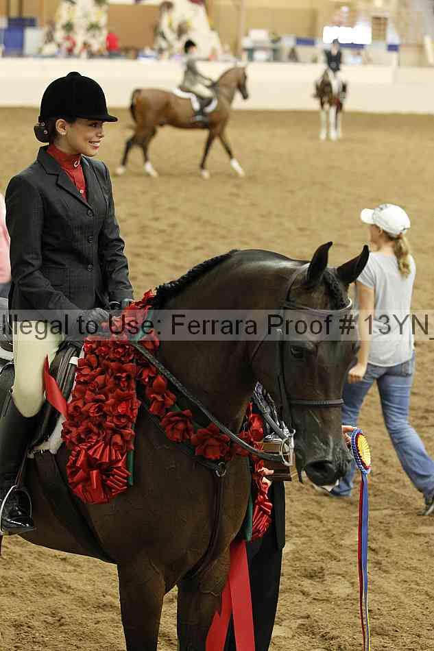 Proof 13yn_09515