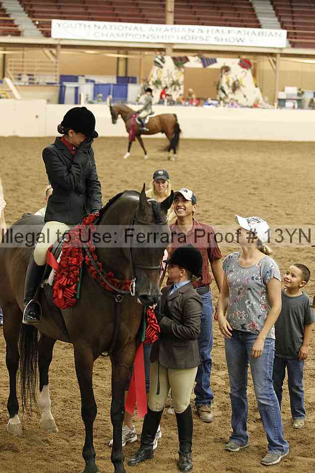 Proof 13yn_09517