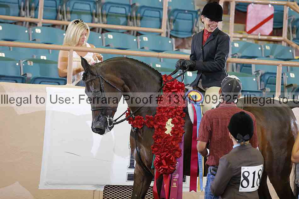 Proof 13yn_09525