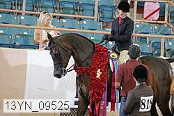 13yn_09525 proof