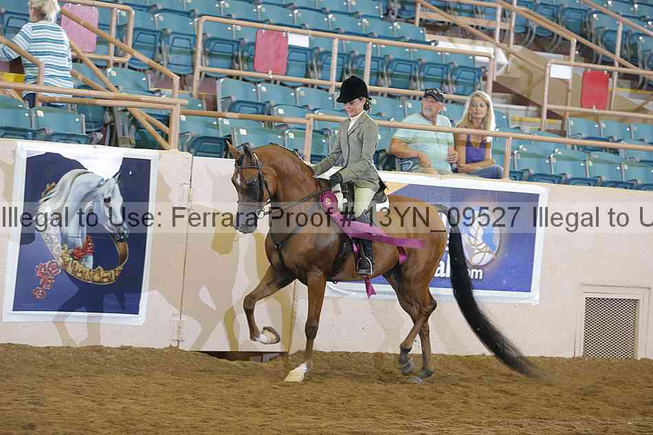 Proof 13yn_09527