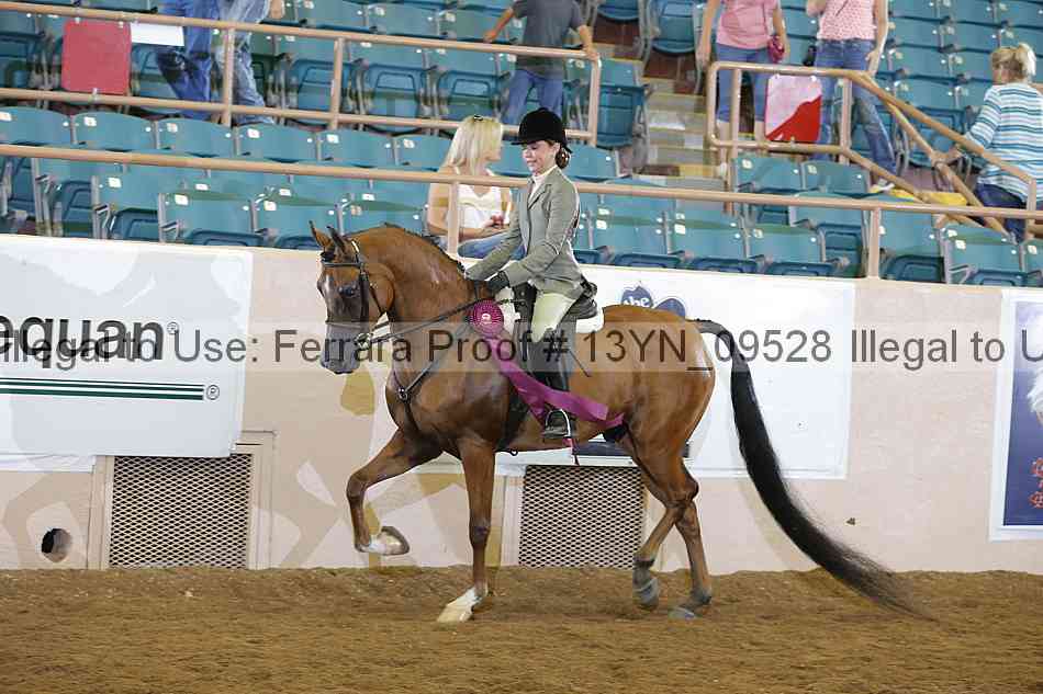 Proof 13yn_09528
