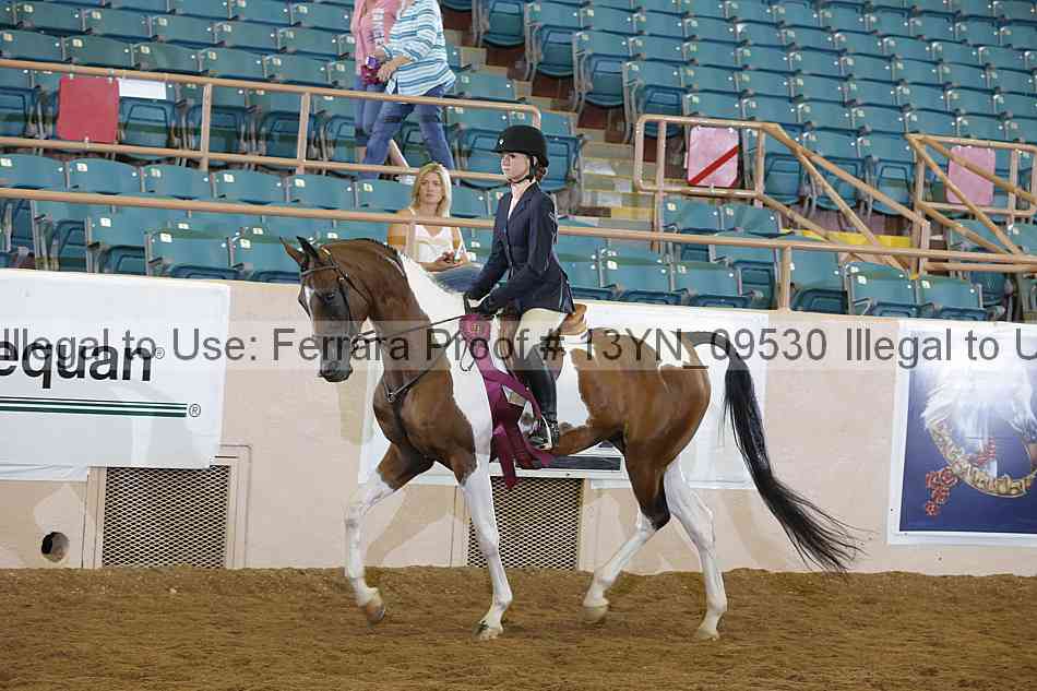 Proof 13yn_09530