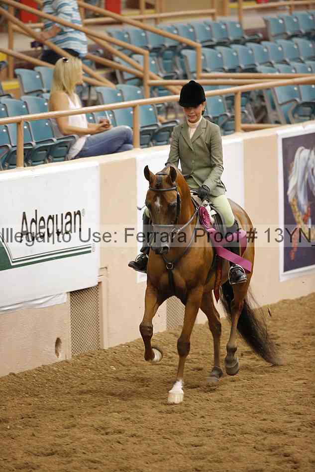Proof 13yn_09532