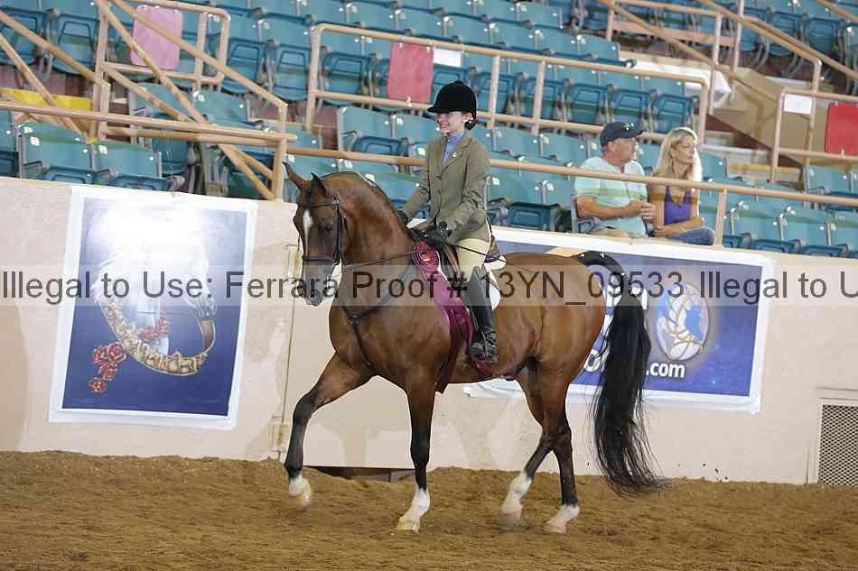 Proof 13yn_09533
