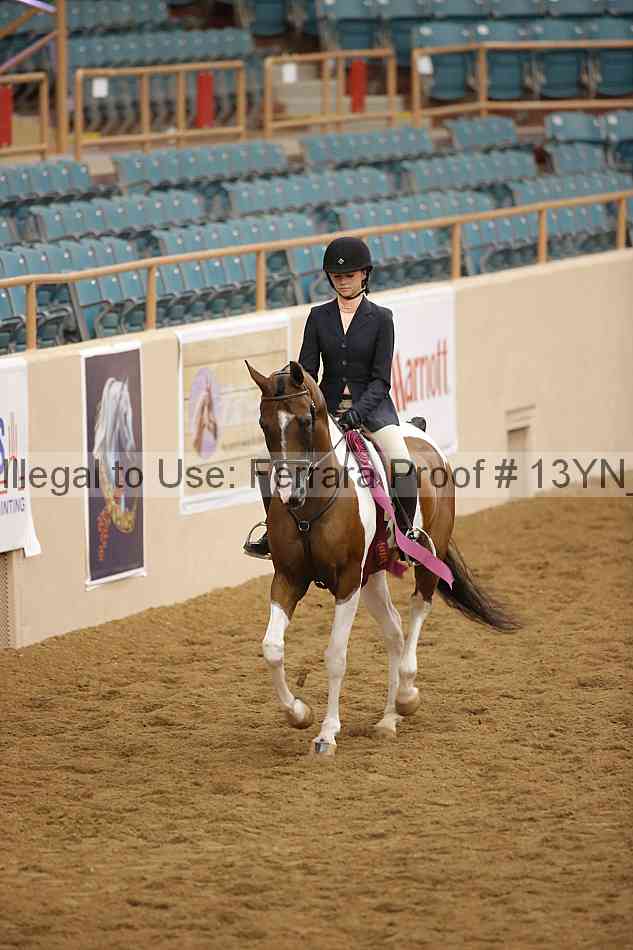Proof 13yn_09534