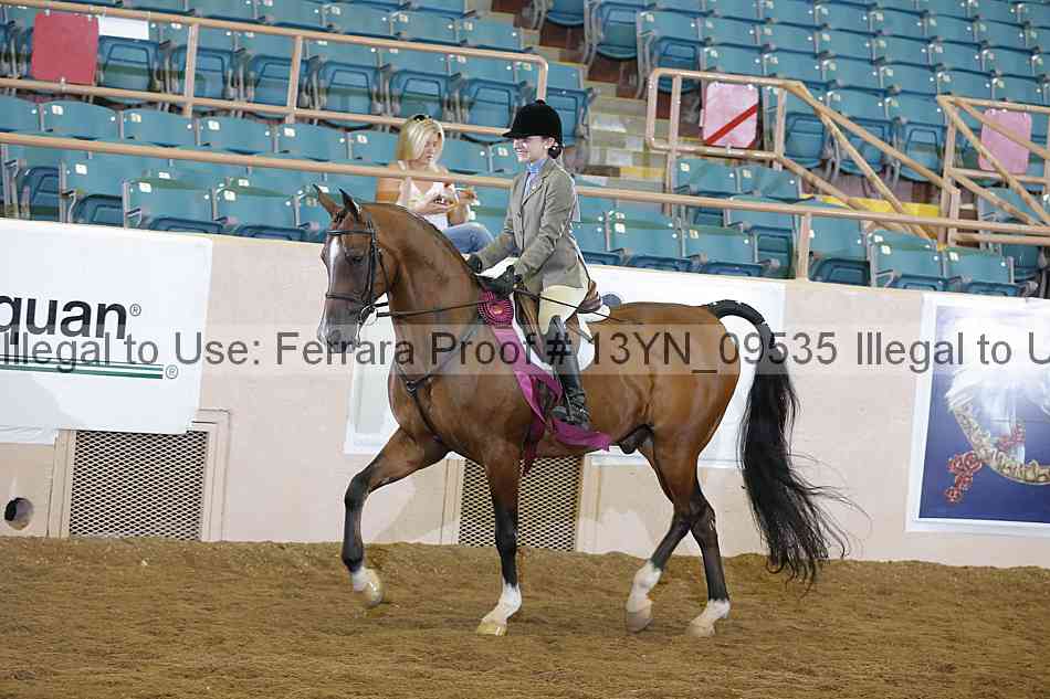 Proof 13yn_09535
