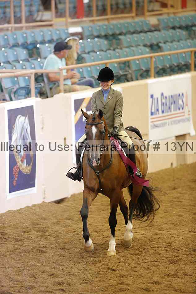 Proof 13yn_09538