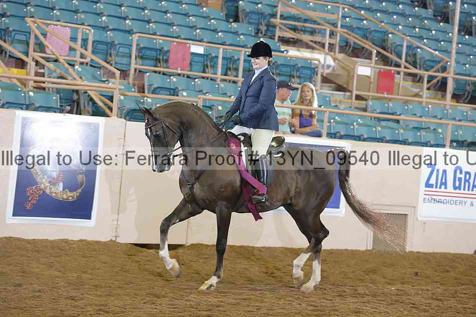 Proof 13yn_09540