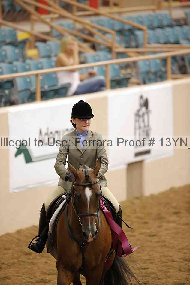 Proof 13yn_09541