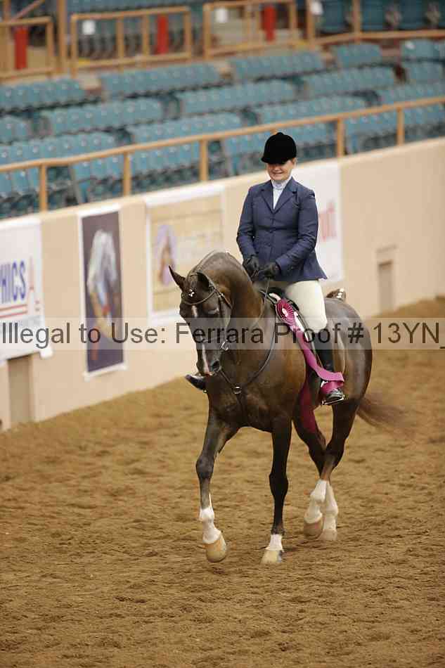 Proof 13yn_09543