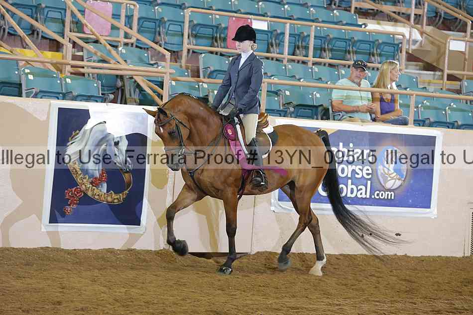 Proof 13yn_09545