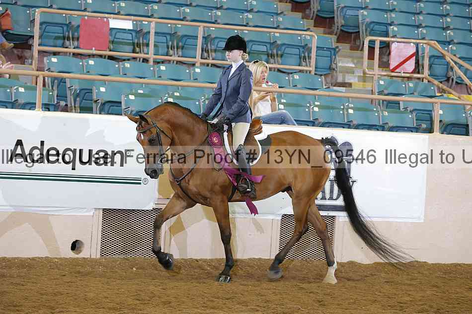 Proof 13yn_09546