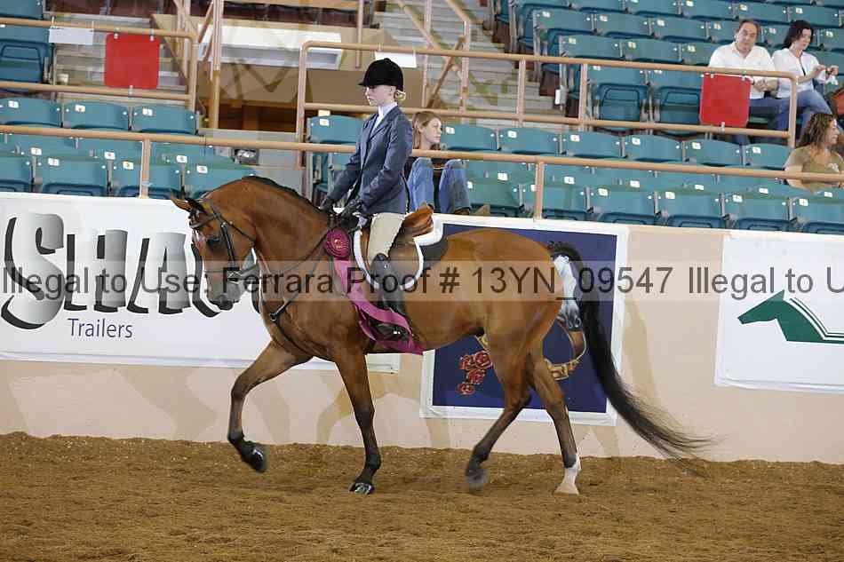 Proof 13yn_09547