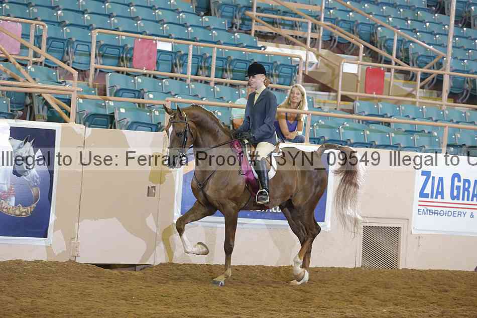 Proof 13yn_09549