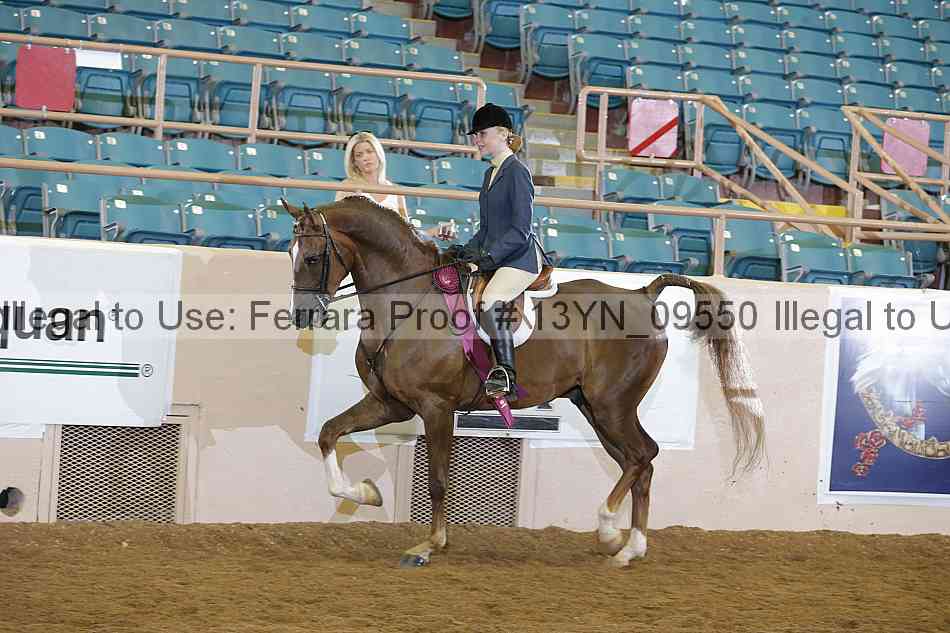 Proof 13yn_09550