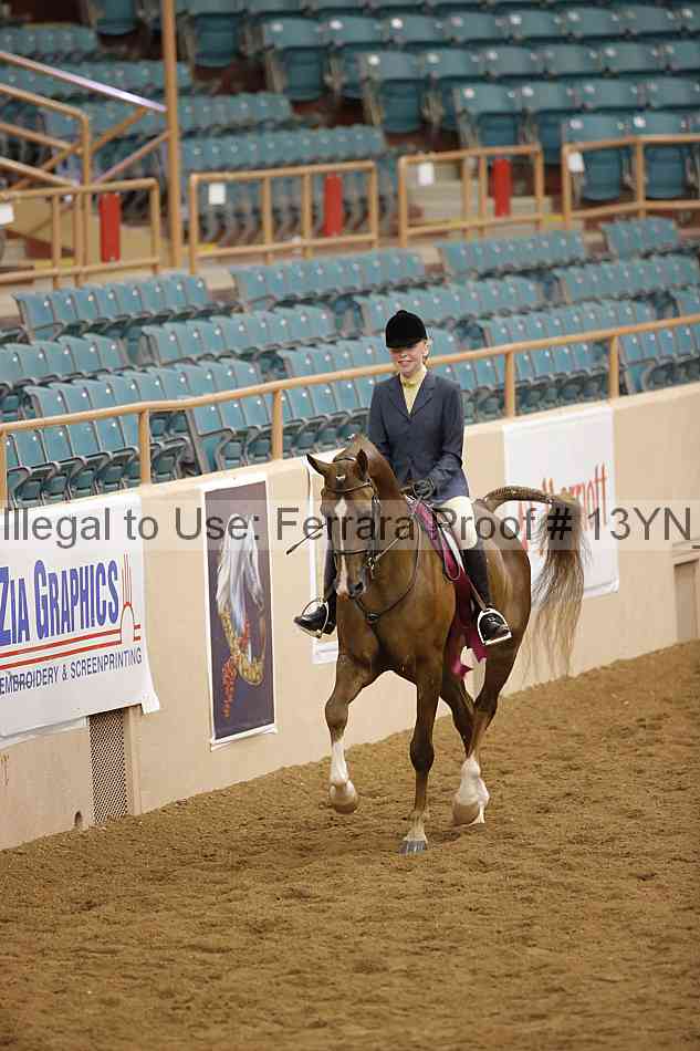 Proof 13yn_09552