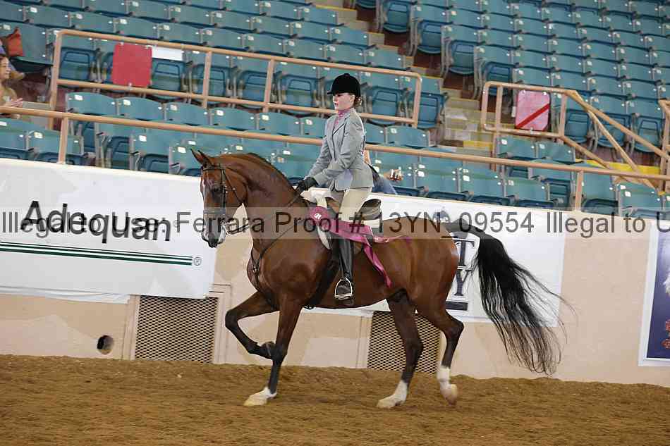 Proof 13yn_09554
