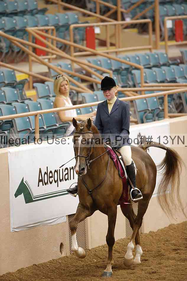 Proof 13yn_09555