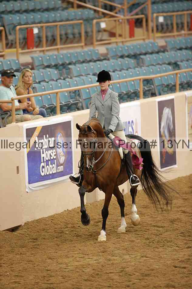 Proof 13yn_09556