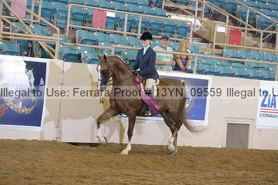 Proof 13yn_09559