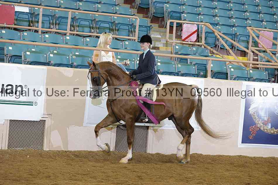 Proof 13yn_09560