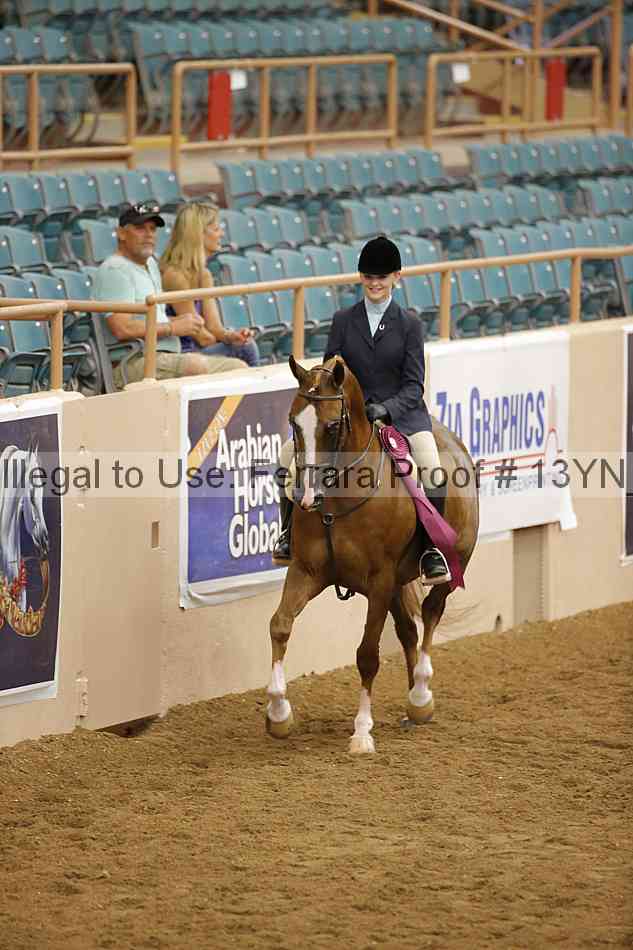 Proof 13yn_09561