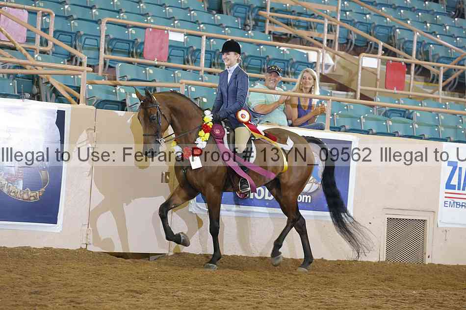 Proof 13yn_09562