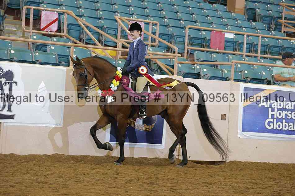 Proof 13yn_09563