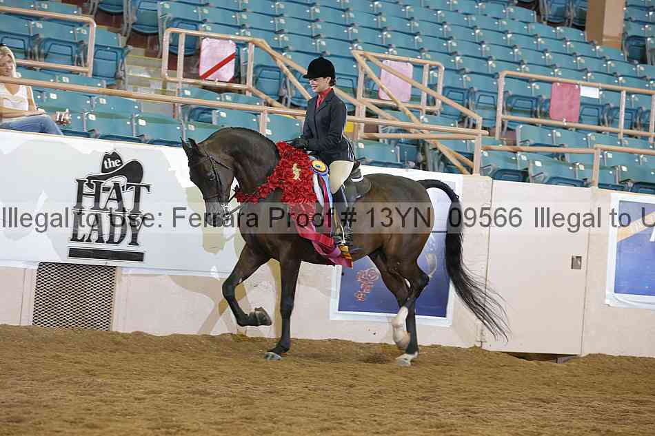 Proof 13yn_09566
