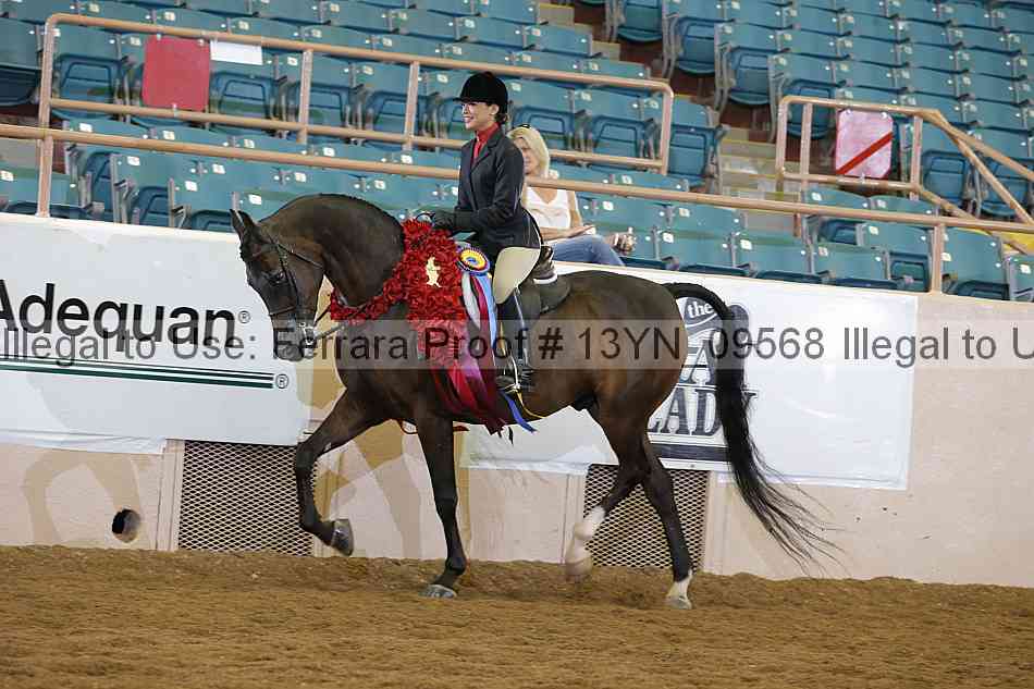 Proof 13yn_09568