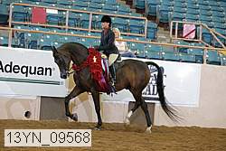 13yn_09568 proof