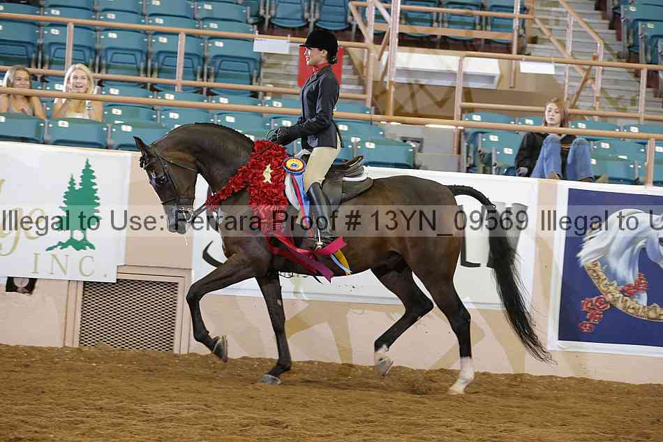 Proof 13yn_09569
