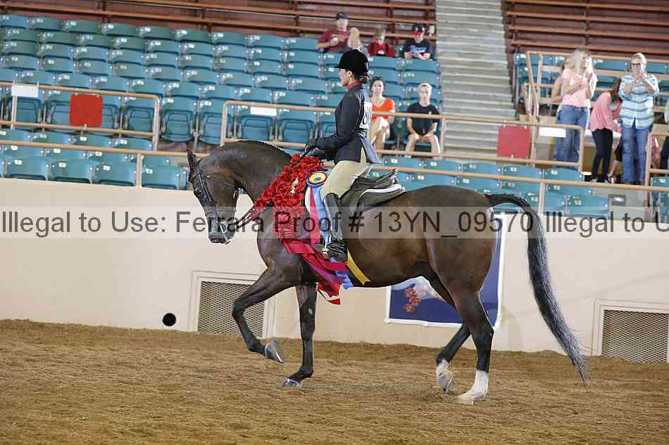 Proof 13yn_09570