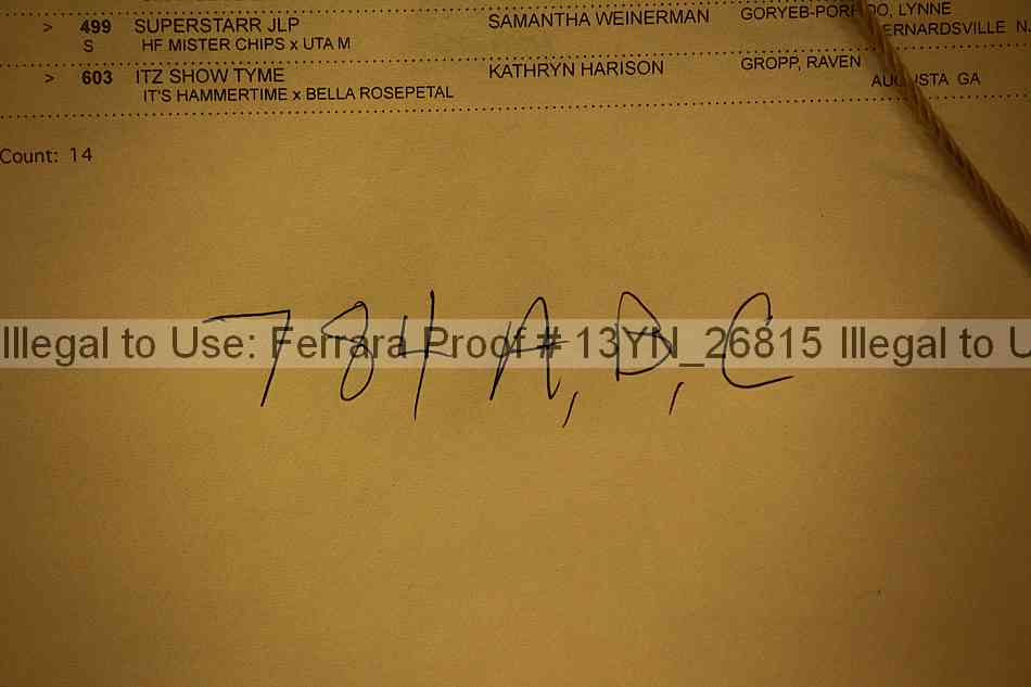 Proof 13yn_26815