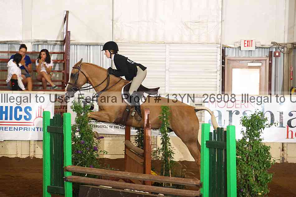 Proof 13yn_26908