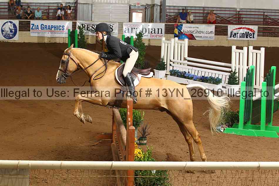 Proof 13yn_26910