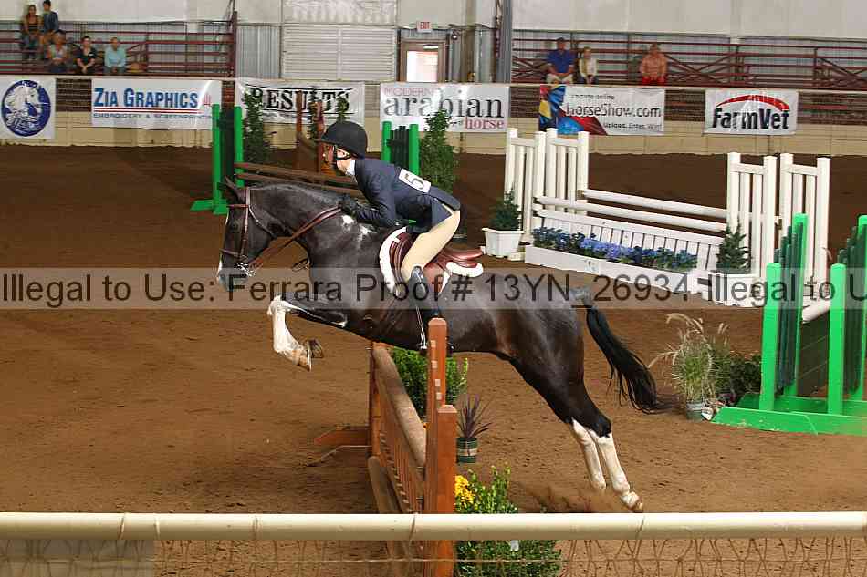 Proof 13yn_26934