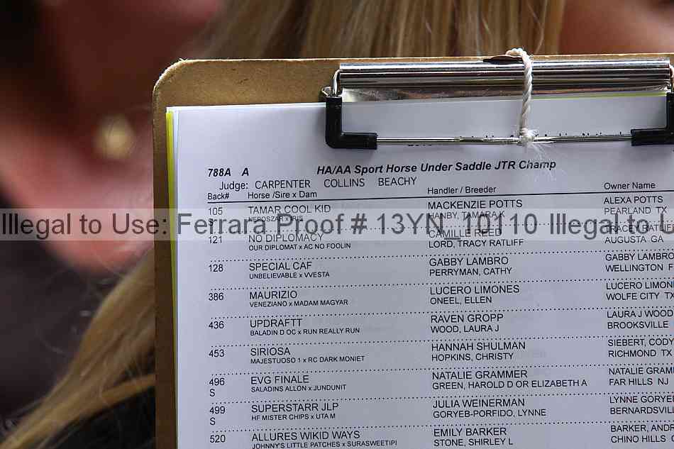Proof 13yn_10110