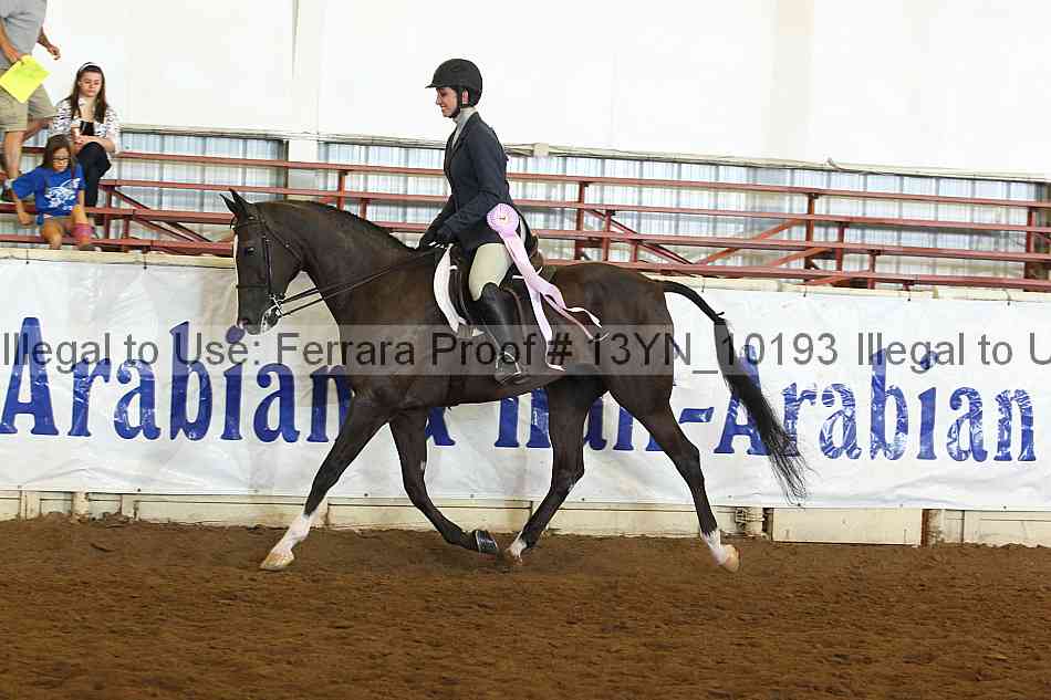 Proof 13yn_10193