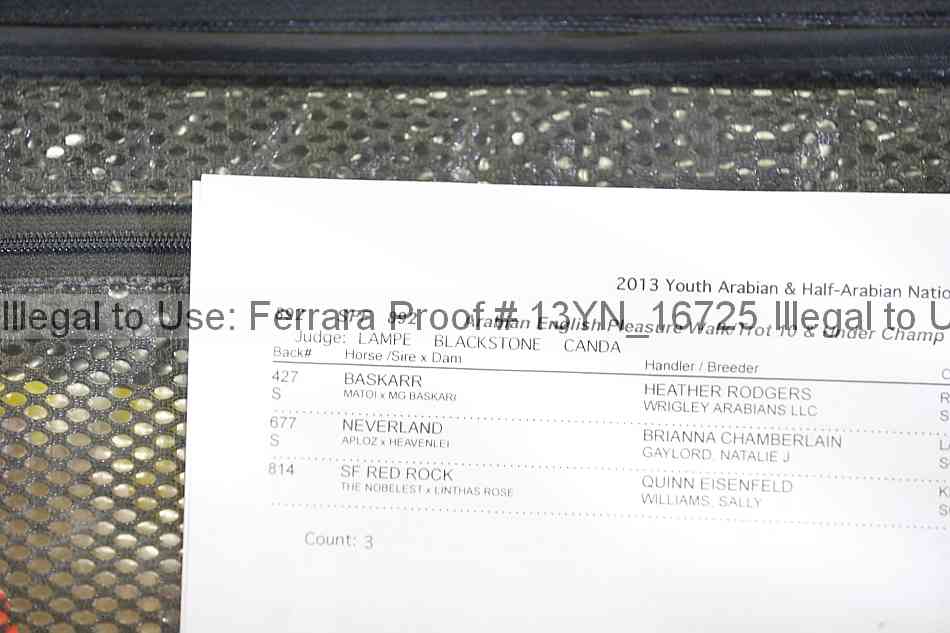 Proof 13yn_16725