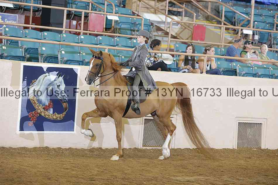 Proof 13yn_16733